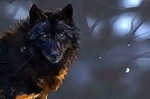 Dark Wolf Wallpapers Images