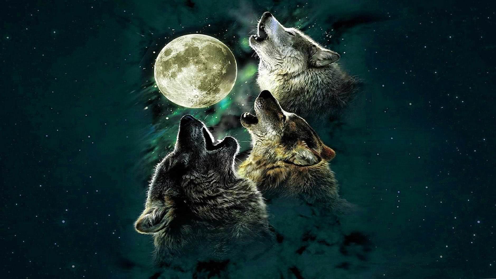 Moon And Wolf HD Wallpapers
