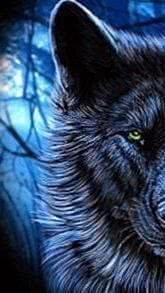 Wallpapers iPhone 7 Wolf
