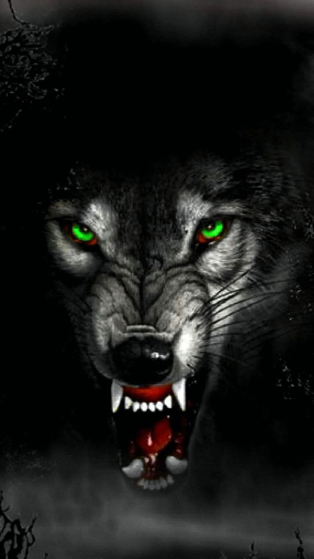 angry wolf wallpaper hd for mobile background image 2