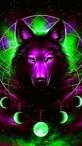 Galaxy Wolf Wallpapers Zedge