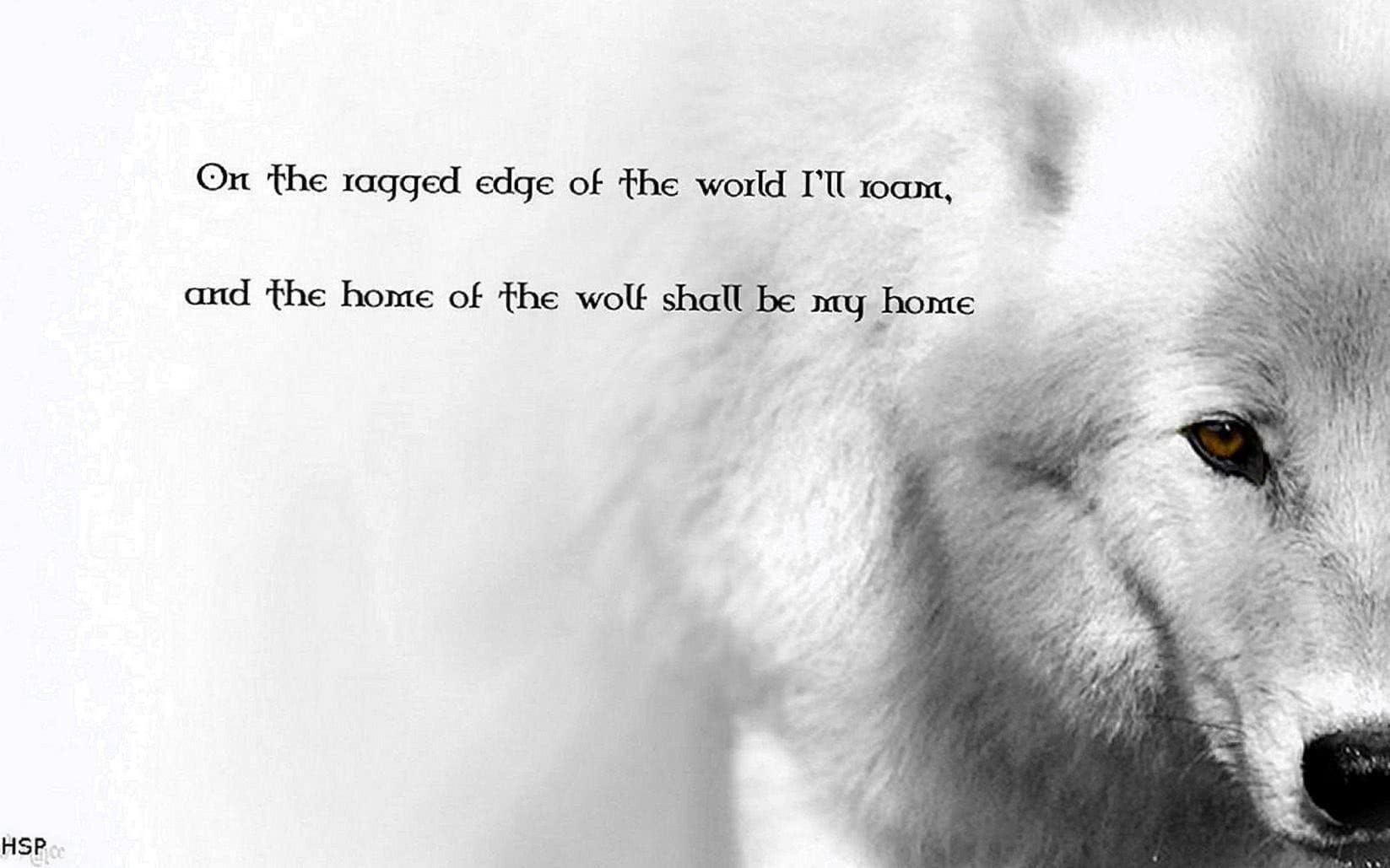 lone wolf motivational wallpaper background image 6