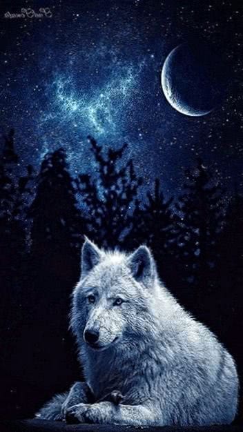 wolf wallpaper cell phone background image 3