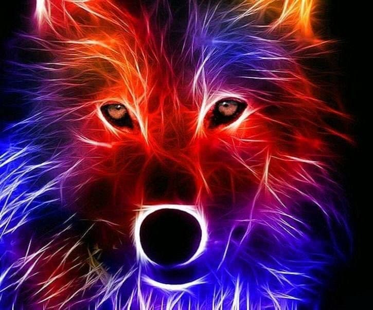 Electric Wolf Wallpapers - Wolf Background Images