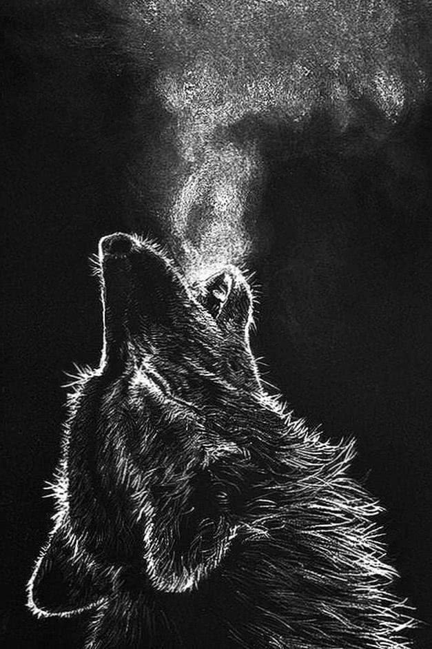 black wolf face wallpaper background image 5