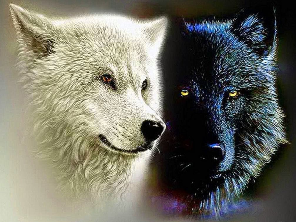 Wolves Life 3 Wallpapers