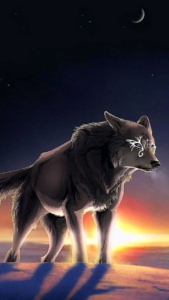 iPhone 6S Plus Wallpaper Wolf Image 2