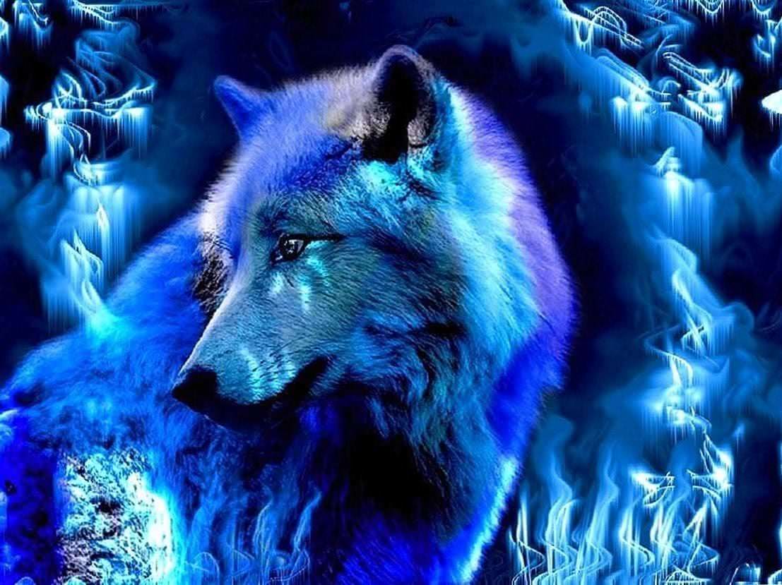 Blue Wolf Abstract Wallpapers