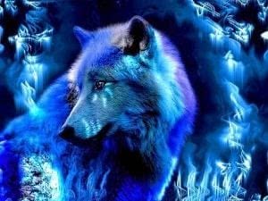 Blue Wolf HD Wallpapers