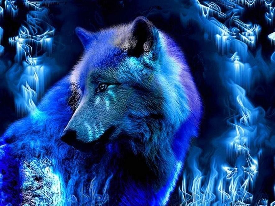 Wallpapers Ice Blue Wolf free download