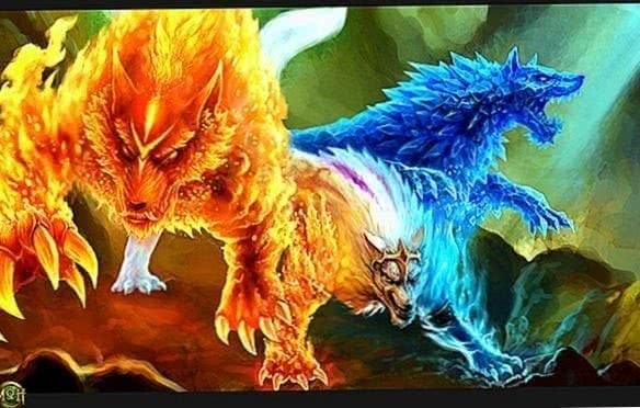 Ice Wolf And Fire Wolf Wallpapers Wolf Wallpapers Pro