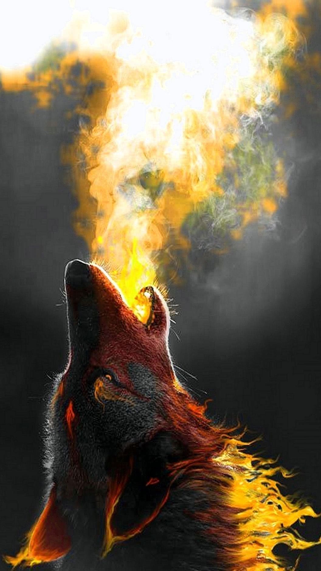 Fire Wolf Wallpapers HD