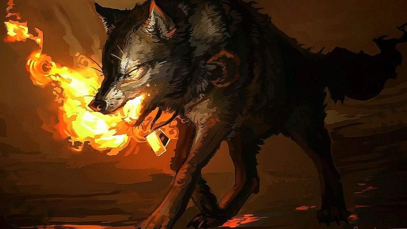 Wallpapers Of Fire Wolf