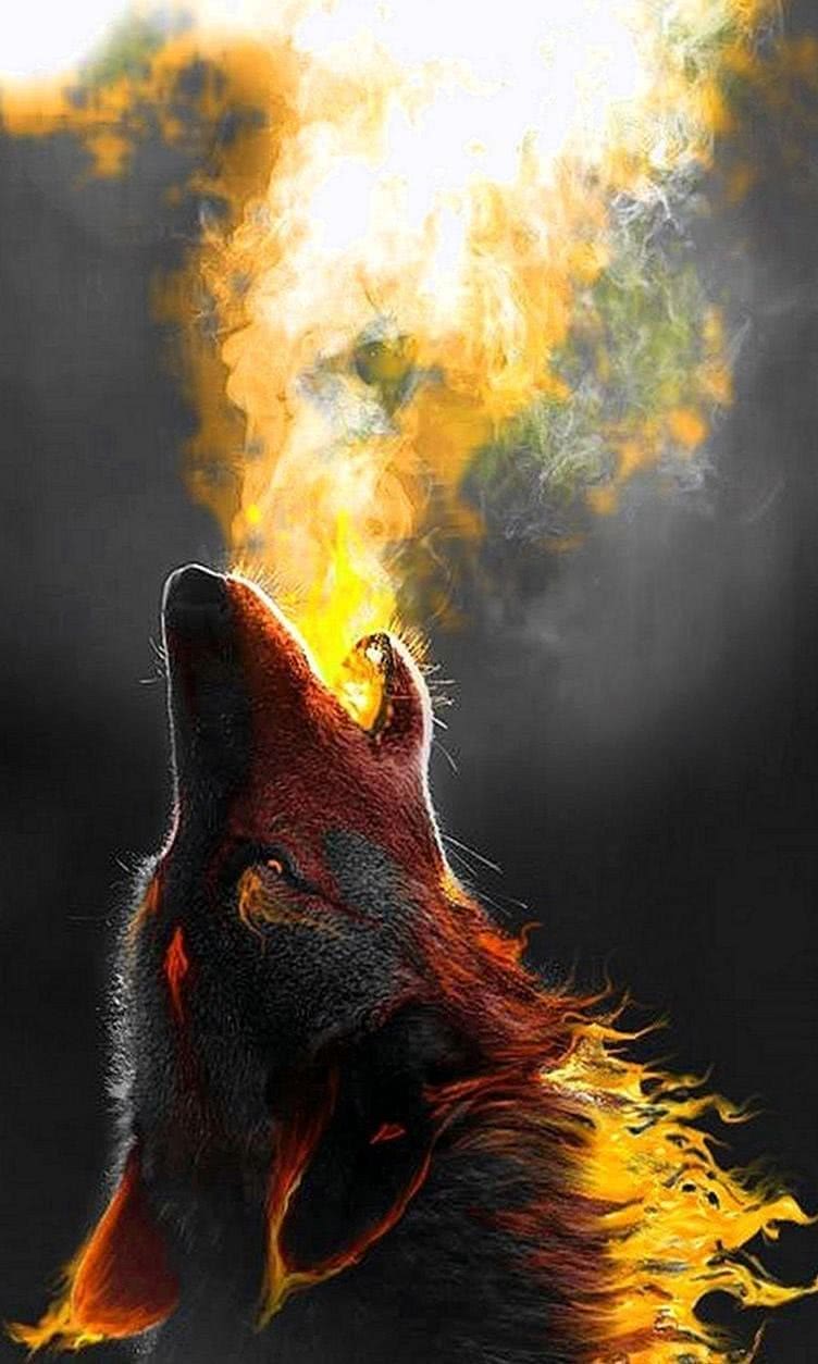 768×1280 Wolf Wallpapers
