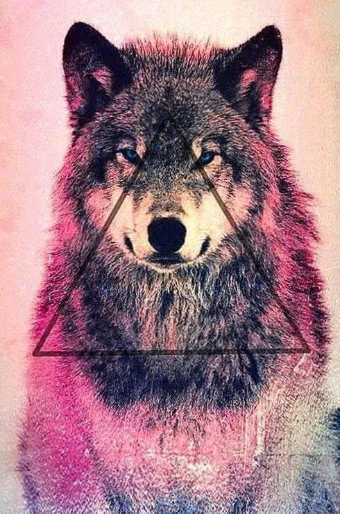 wallpaper celular wolf background image 3