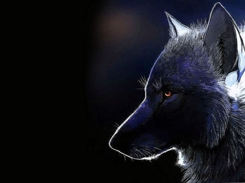 Dark Wolf Wallpaper Celular Image 1