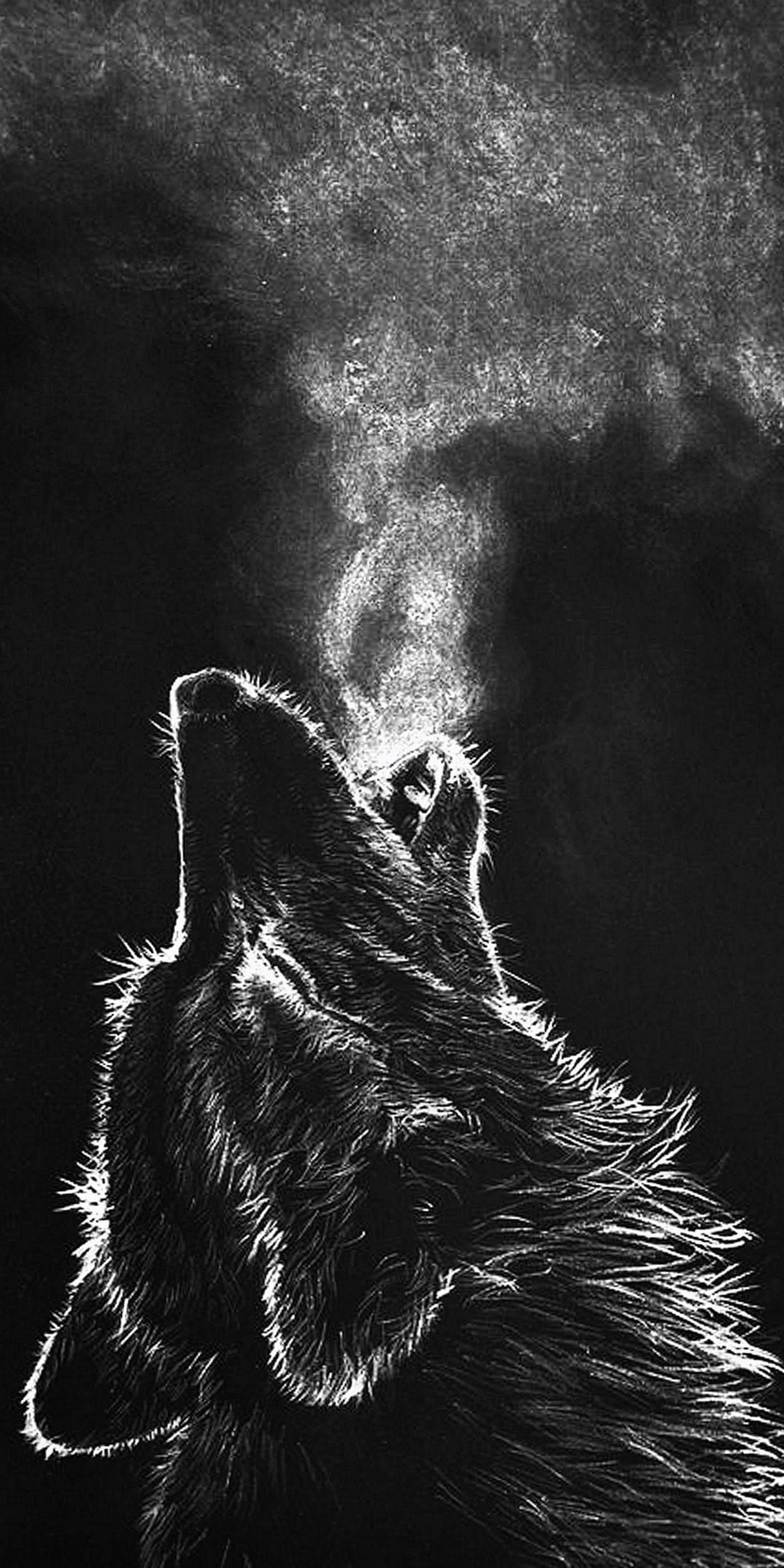 Wolf wallpaper iPhone 8 Plus