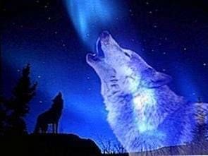 Wolf Howling Wallpaper For PC Image 1