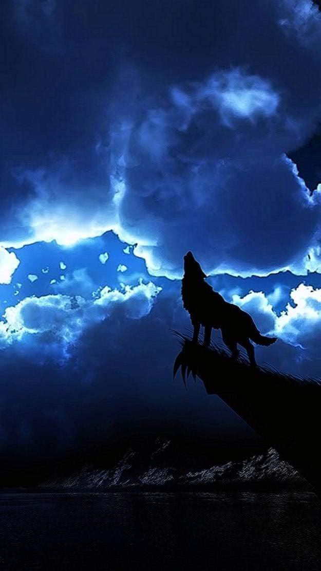 Wolf Howling Wallpapers For iPhone