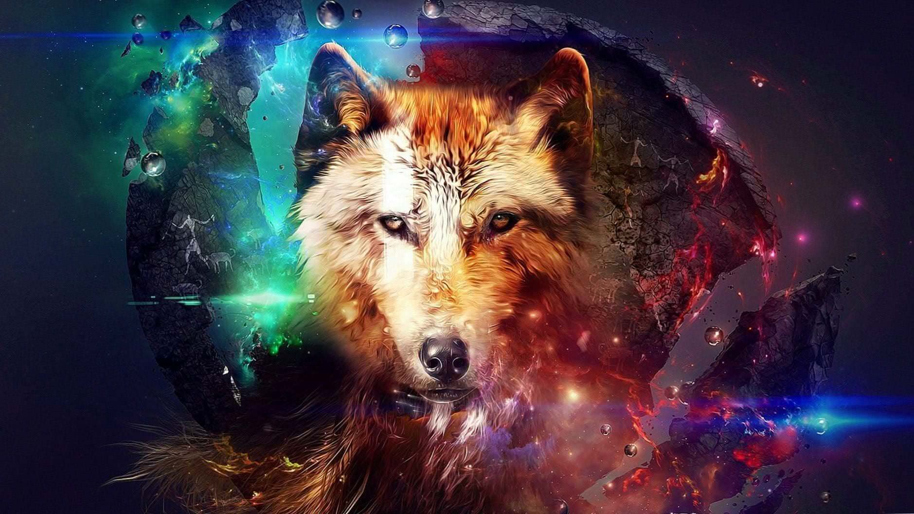 wolf screen wallpaper background image 3