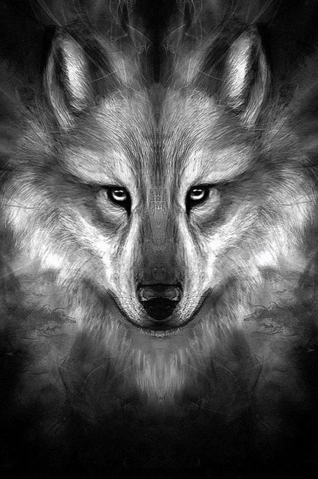 Wolf Face Wallpaper Image 1