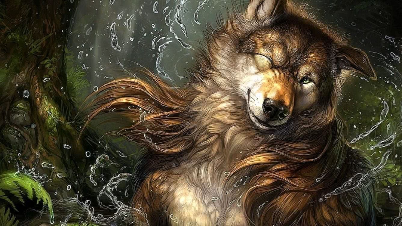 1366×768 Wolf Wallpapers HD