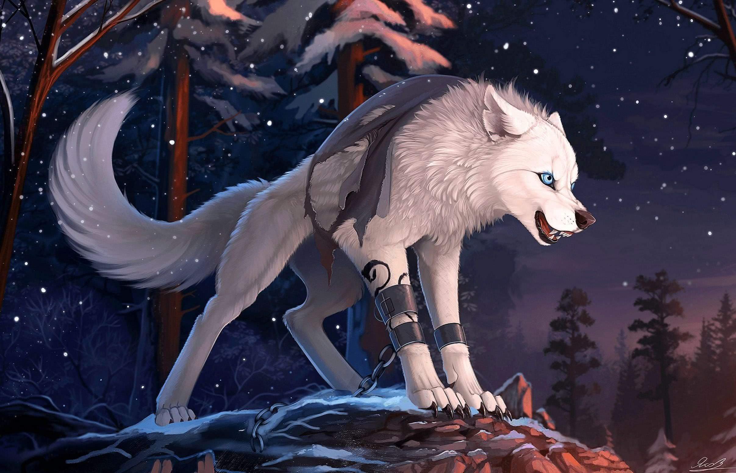Wallpaper Furry Wolf Image 1