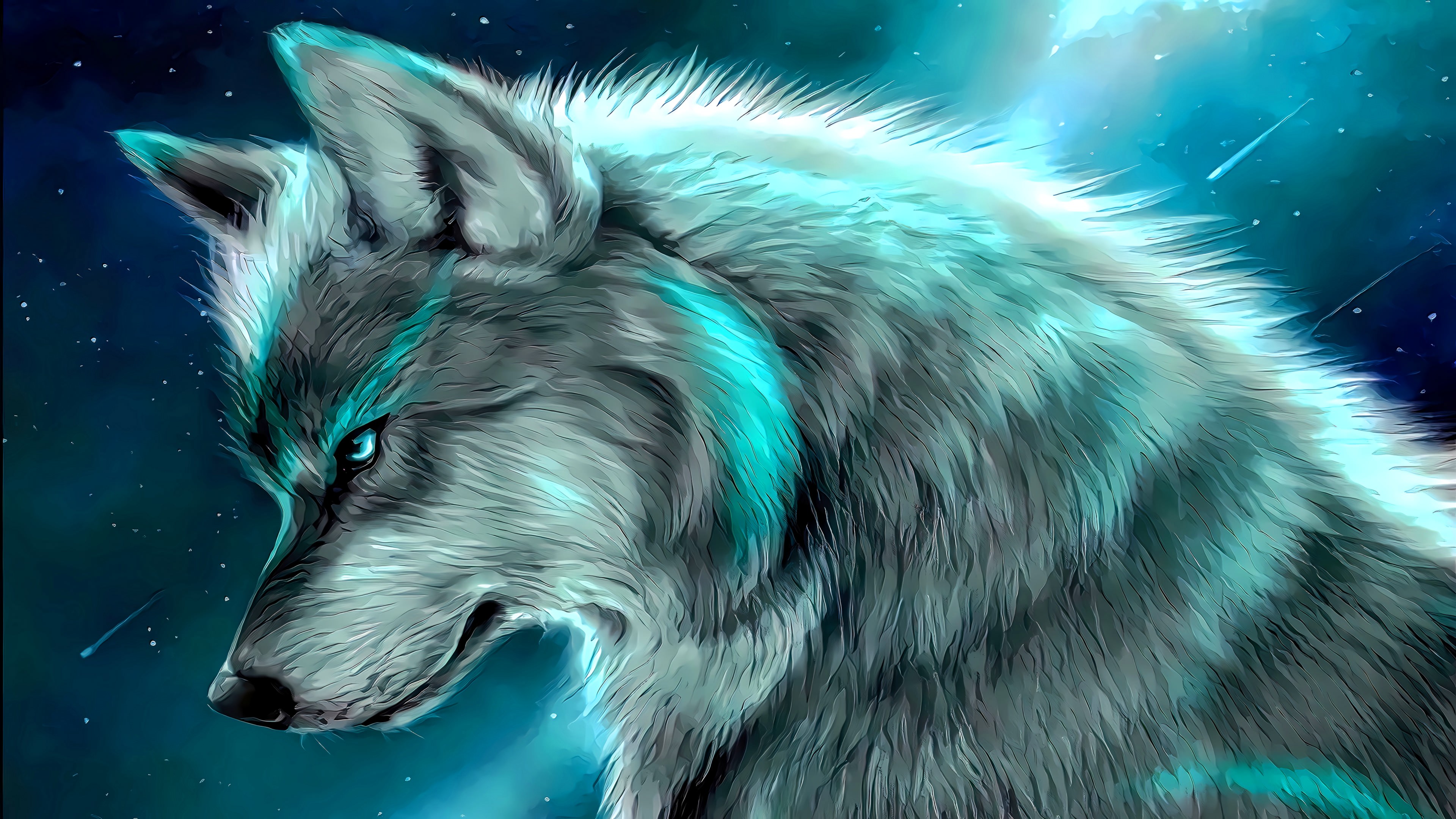 Galaxy Wolf Wallpapers 4K