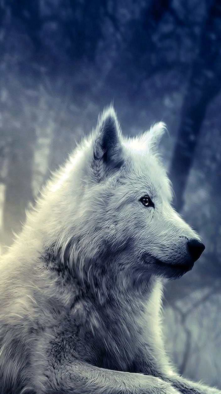 Galaxy S3 Wolf Wallpapers