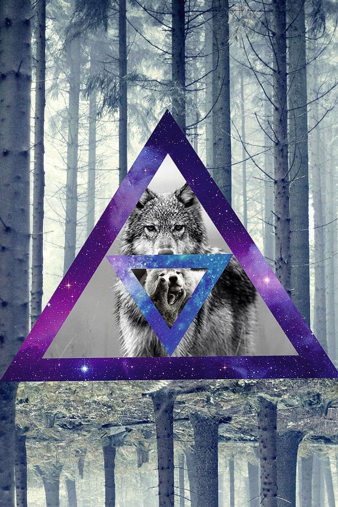 Galaxy Wallpapers Tumblr Triangle Wolf