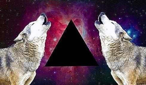 Galaxy Wallpapers Tumblr Triangle Wolf