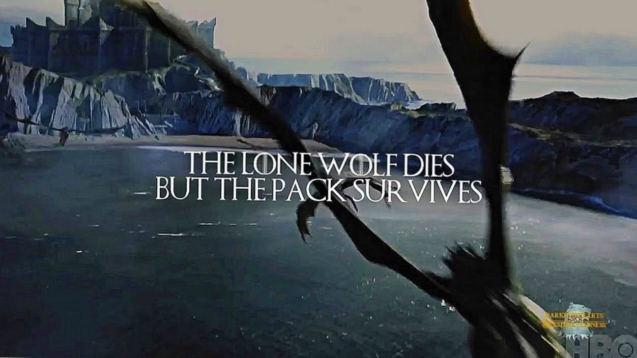 The Lone Wolf Dies But The Pack Survives Wallpapers