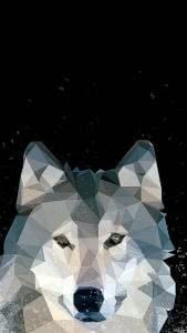Grey Wolf iPhone Wallpapers