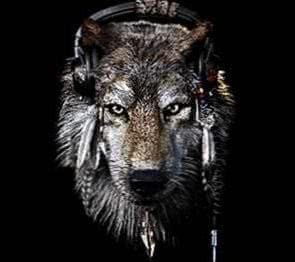 Wallpaper Of A Wolf Image 1