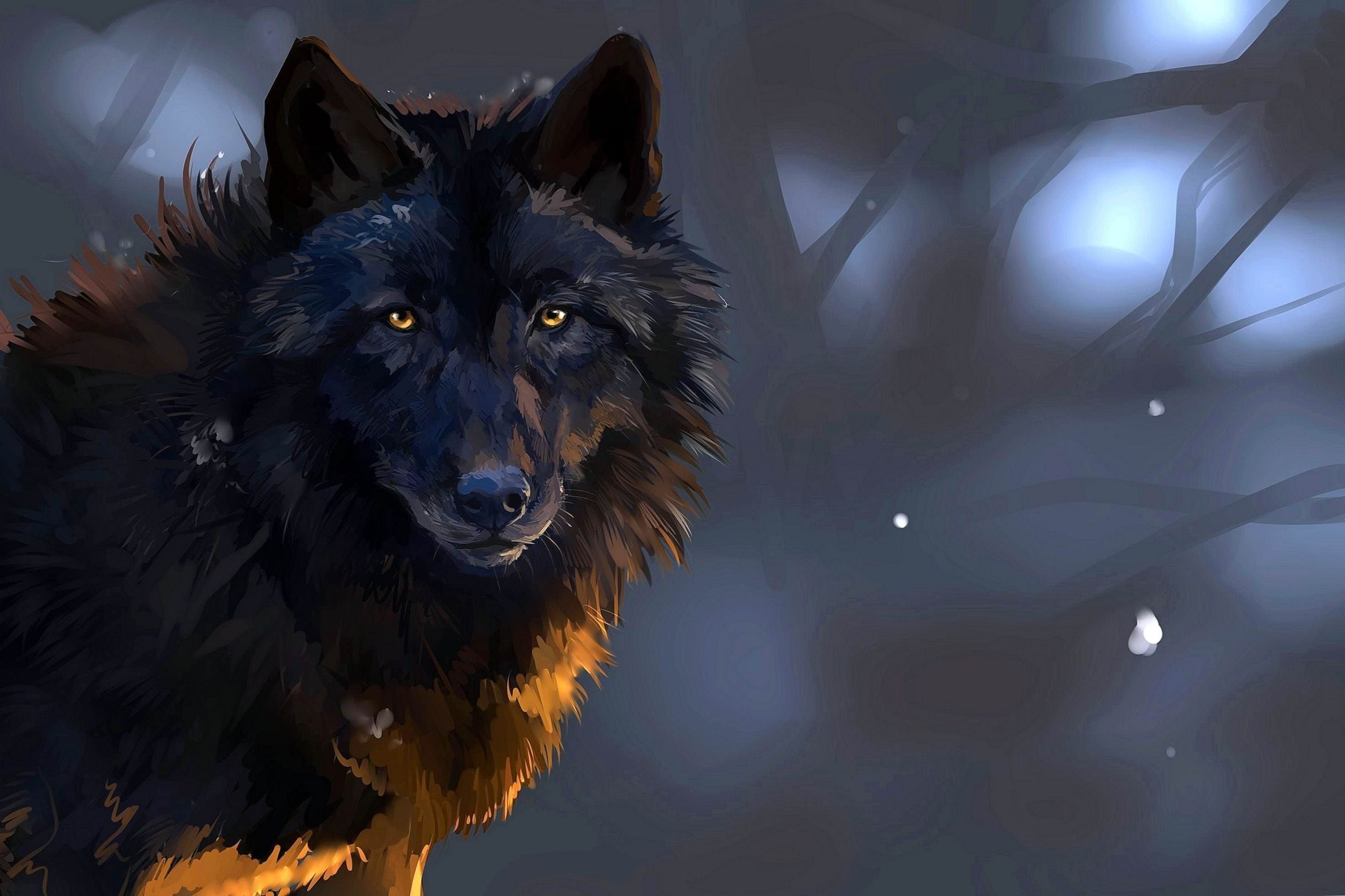 hd wolf wallpaper for desktop background image 2