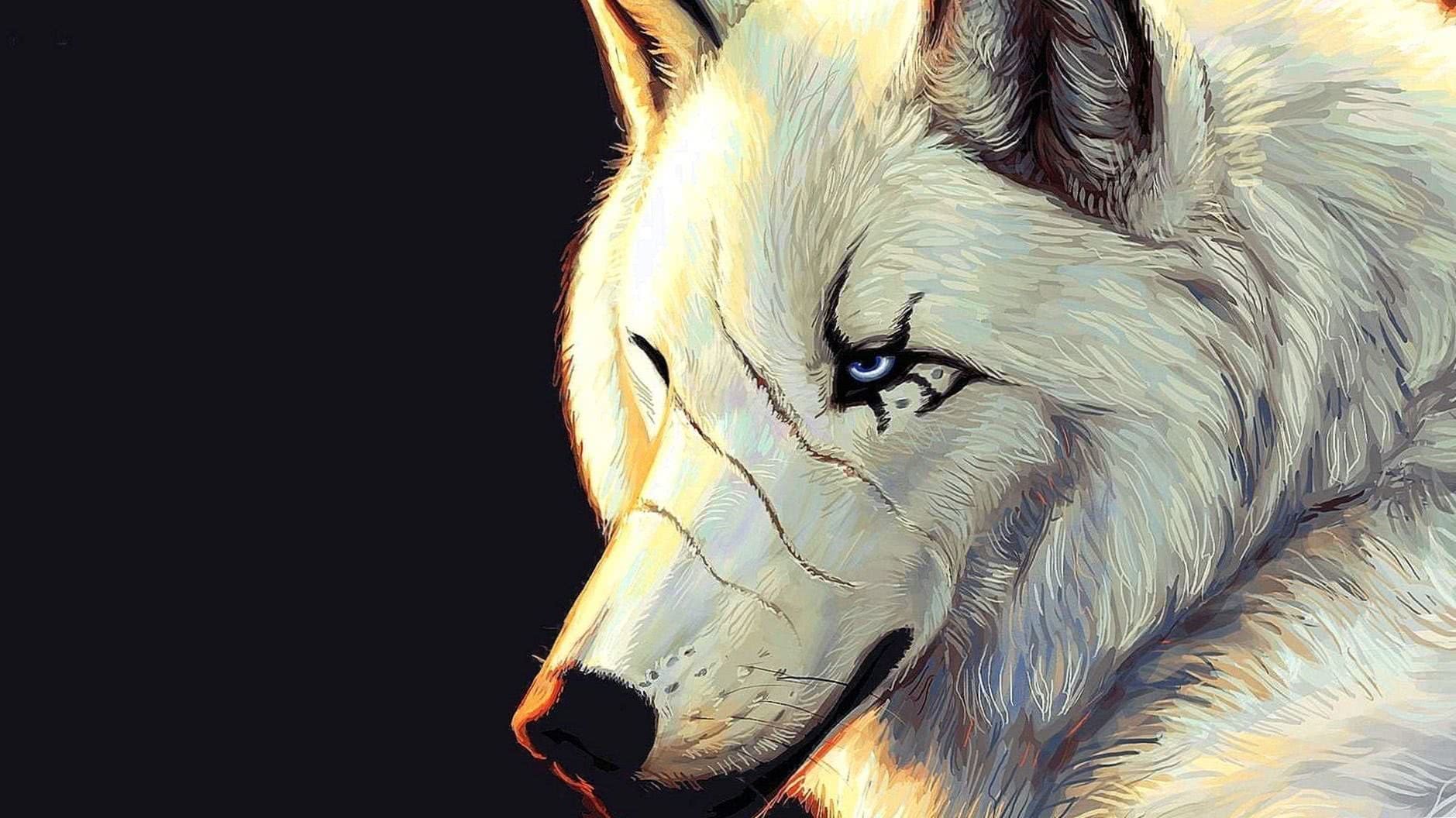 Wolf Animated HD Wallpapers
