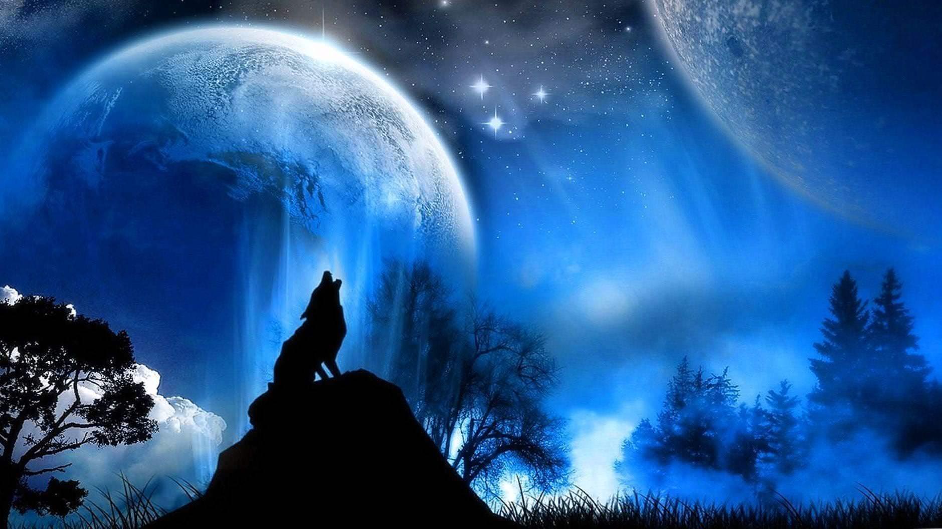 HD Wallpapers 1080p Of Wolf