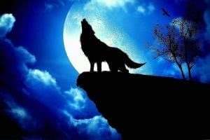 Wolf And Moon Wallpapers