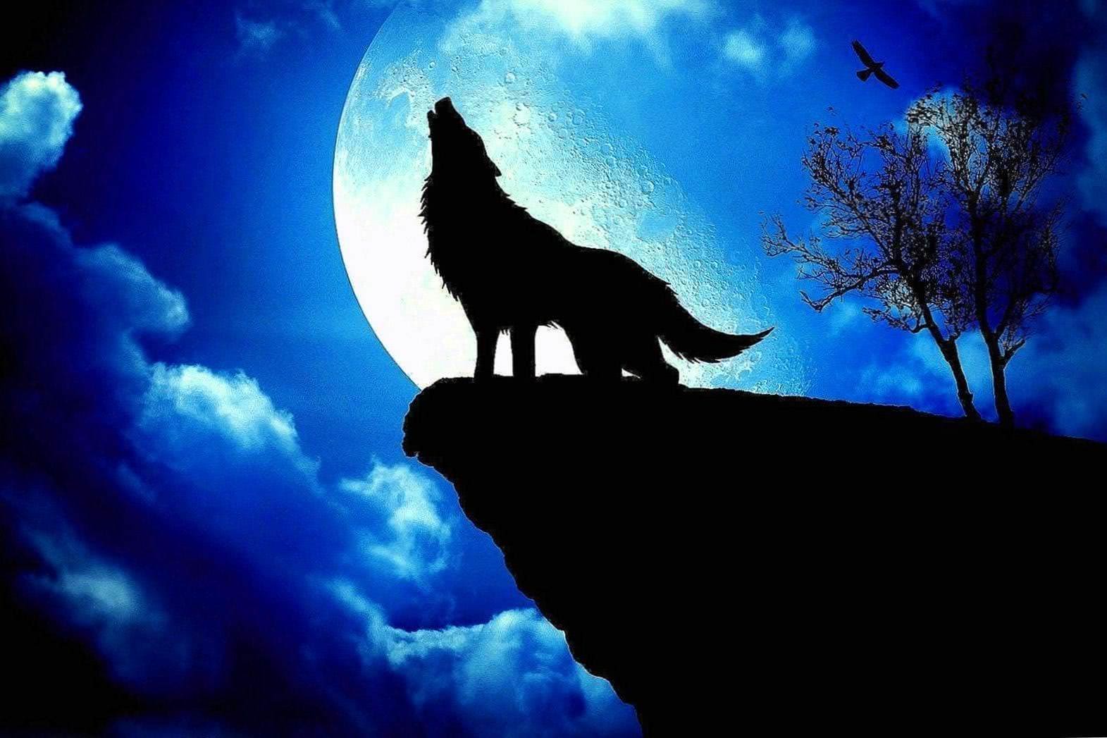 Anime Wolf Howling At The Moon Wallpapers