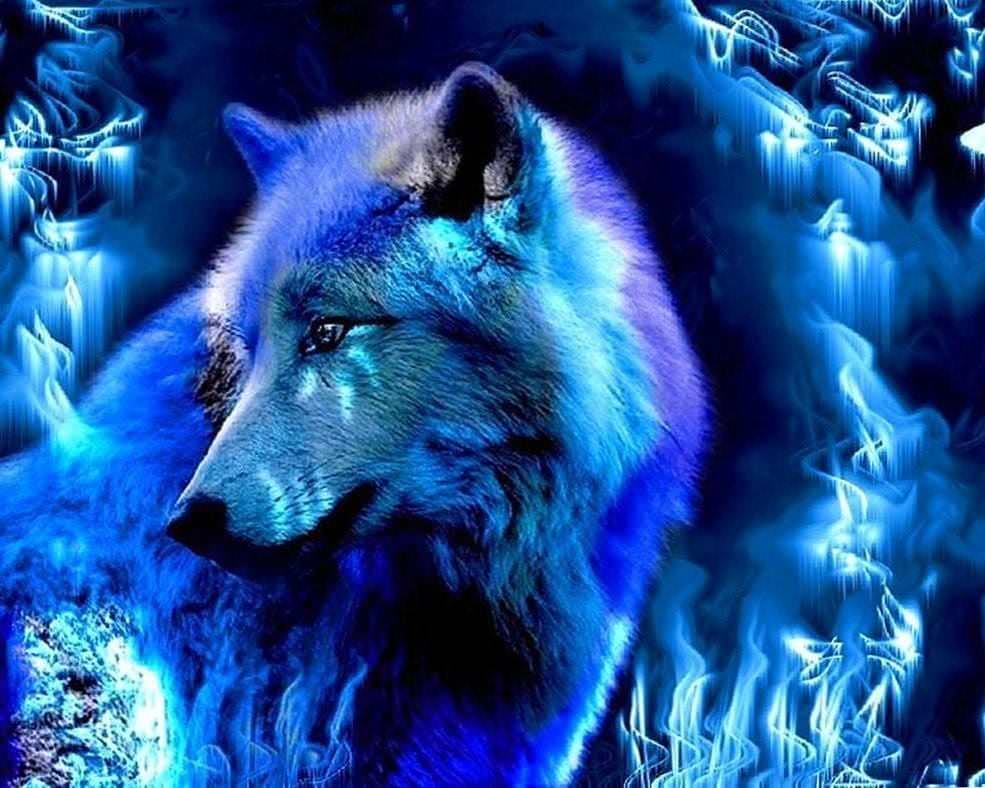  Gambar  Wallpapers White Wolf  Wolf  Wallpapers Pro
