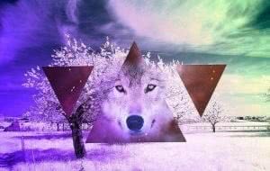 Hipster Wolf Wallpapers HD