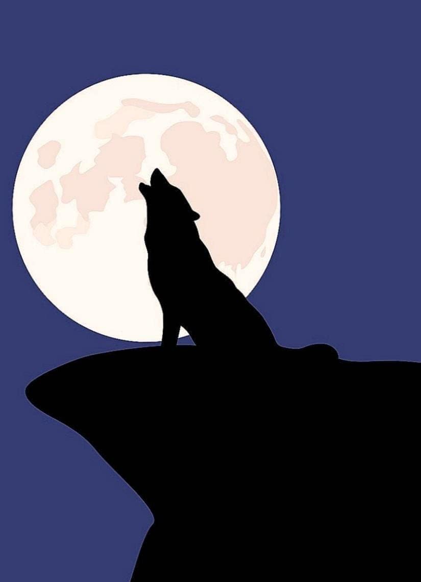 Wolf Wallpaper Alcatel Image 1