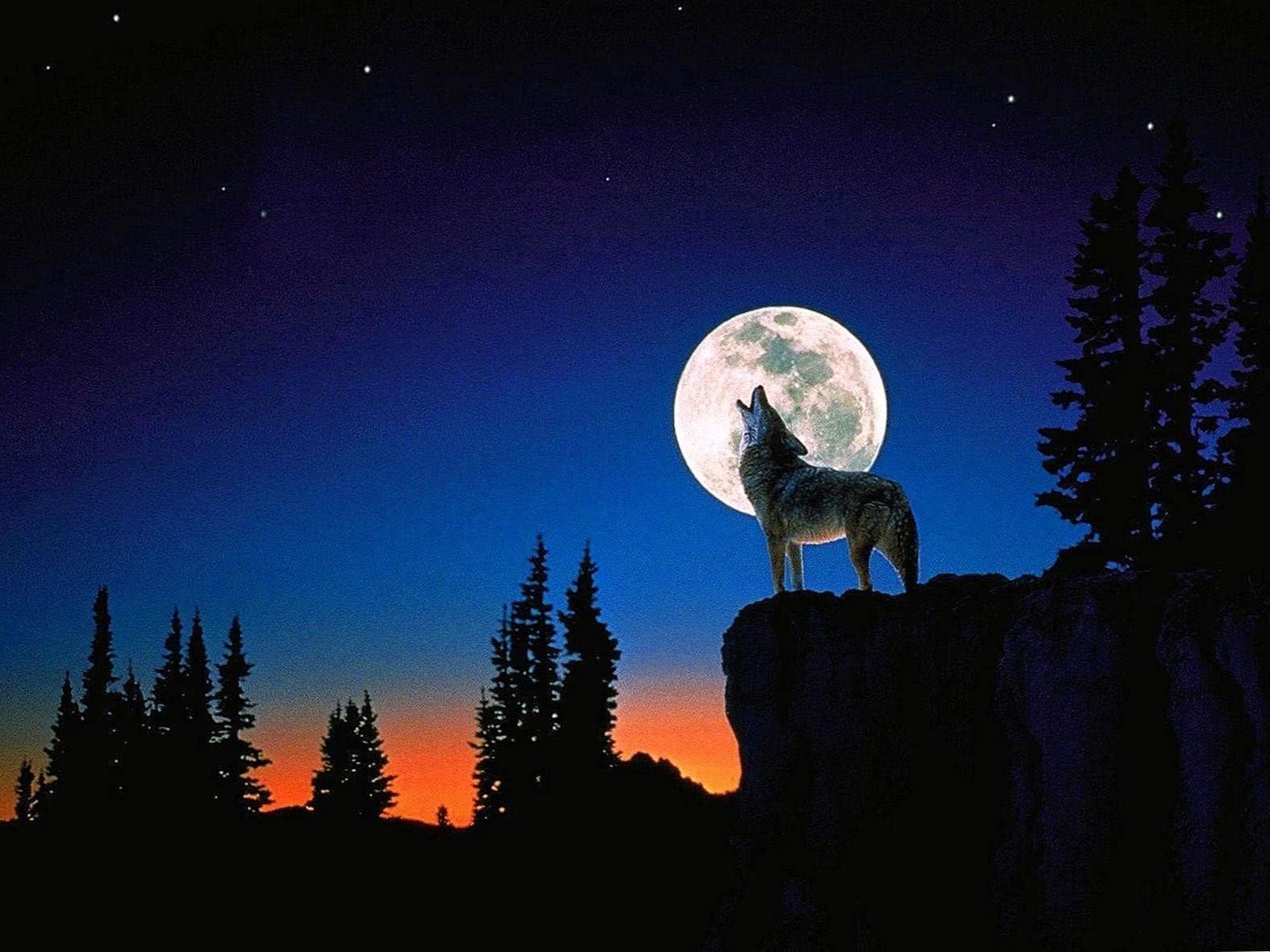 wolf howling at full moon wallpaper background image 4