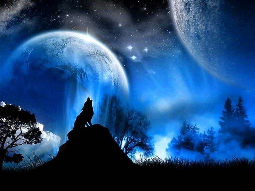 Wolves Howling Wallpapers HD