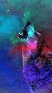Home Screen Wolf Wallpaper Image 1