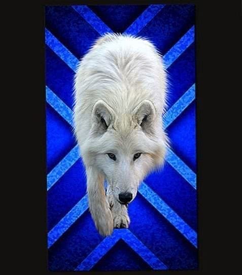 Ice Wolf Wallpapers Mobile