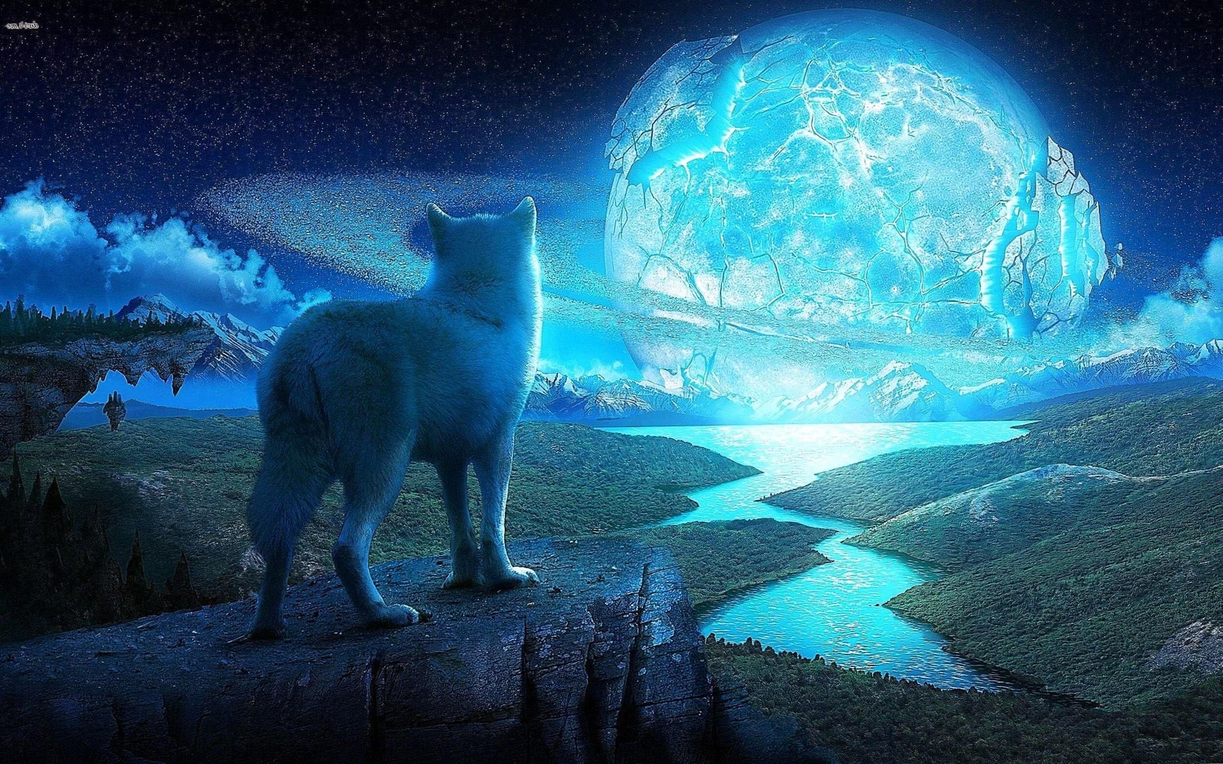 Ice Wolf HD Wallpapers