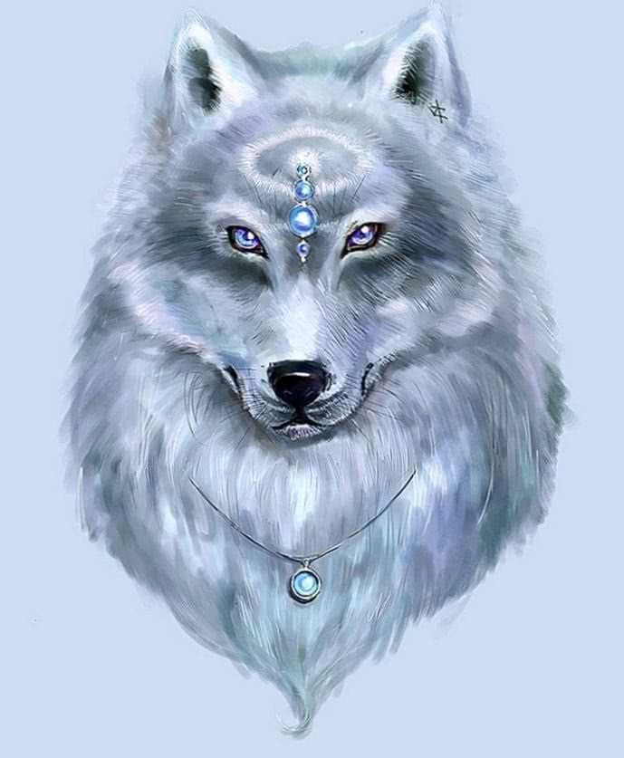 wolf ice wallpaper background image 4