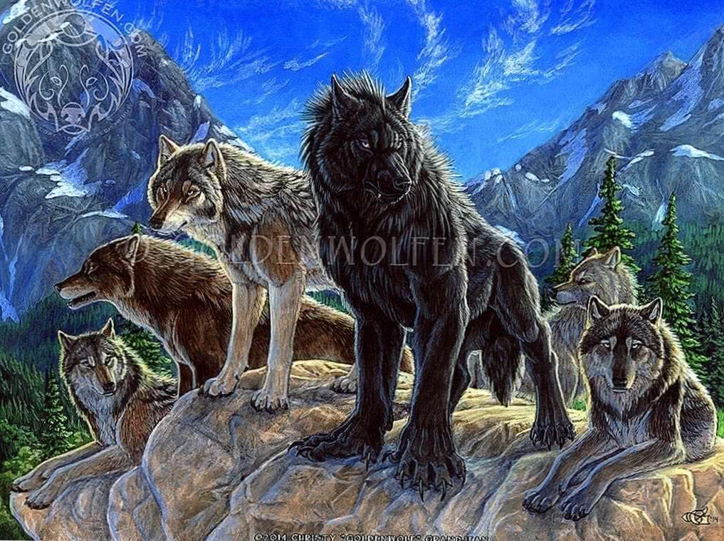 Wallpapers Wolves And Werewolves