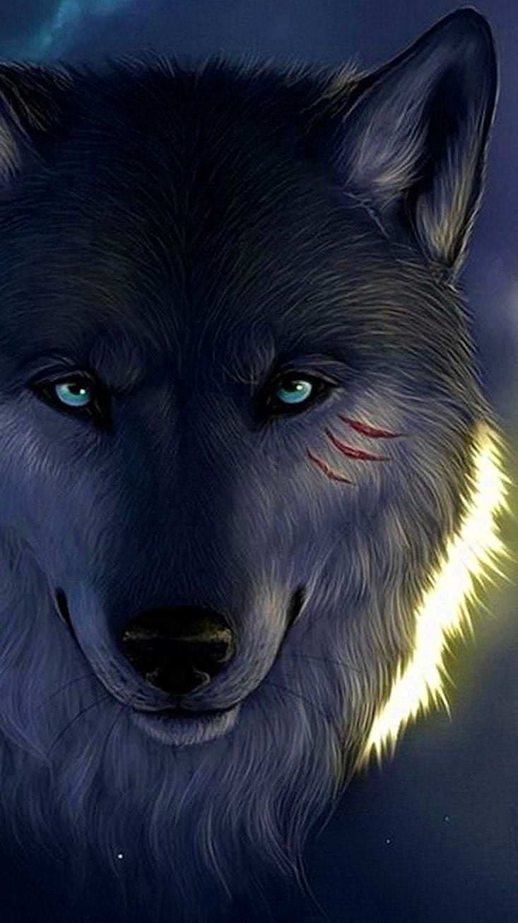 Wolf Wallpapers iPhone 7 HD